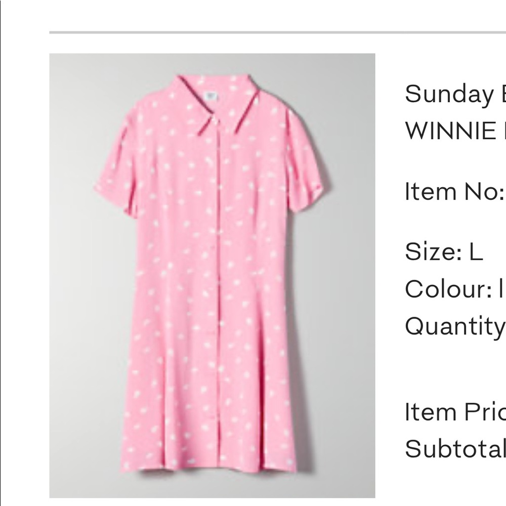 Aritzia Winnie Dress